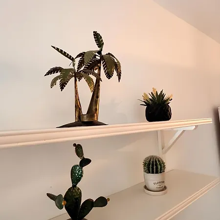 Casa Pura Vida Casa de Férias *
