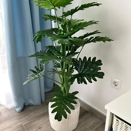 Casa Pura Vida * Тарахалехо